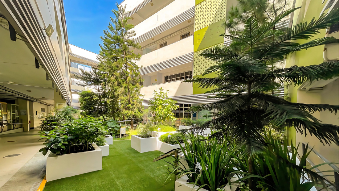 Arboriculture & Tree Services in Singapore
