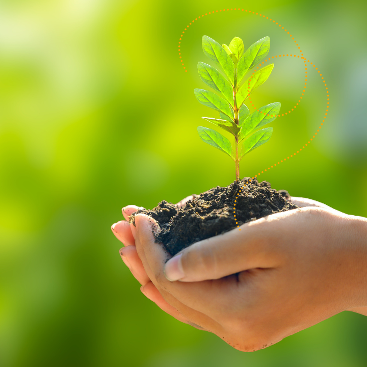 Horticulture Workshops & Learning Journeys in Singapore | Abuzz Landscape